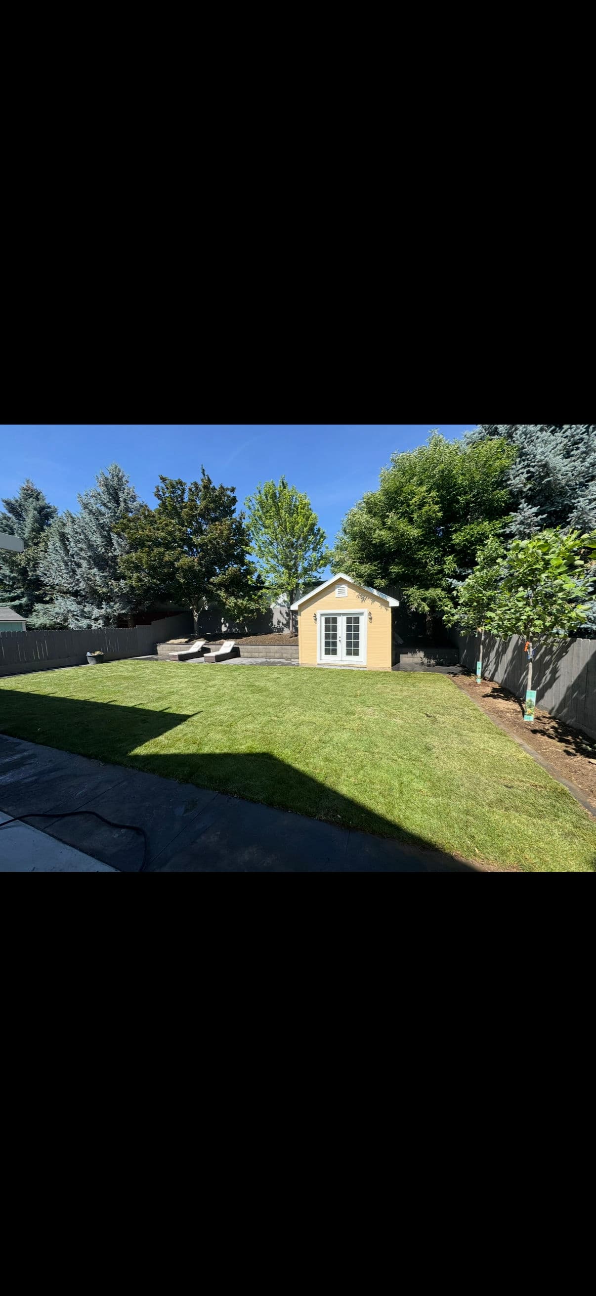 Backyard Dream: Irrigation and Sod Project image