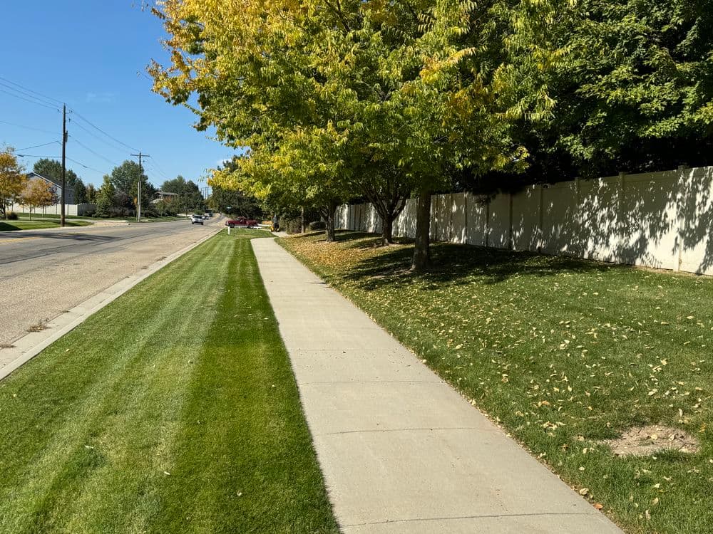 Tree-lined sidewalk with green grass and a suburban street under a blue sky.